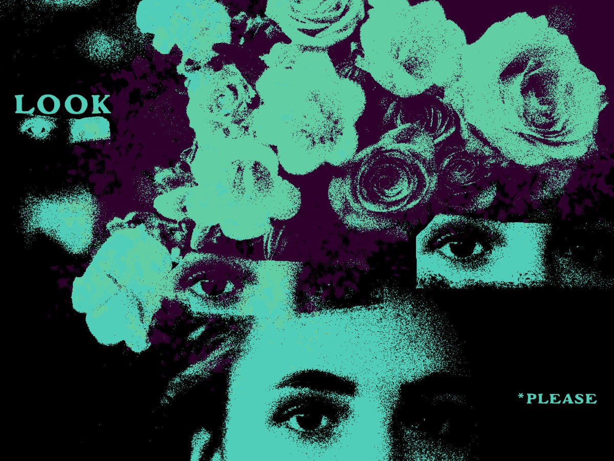 The Art of&nbsp;Looking